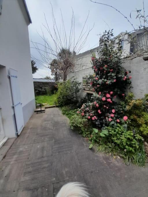 L'Octroi Nantes-6 Pers.-Jardin-Proche Tt Comm. Villa Eksteriør bilde